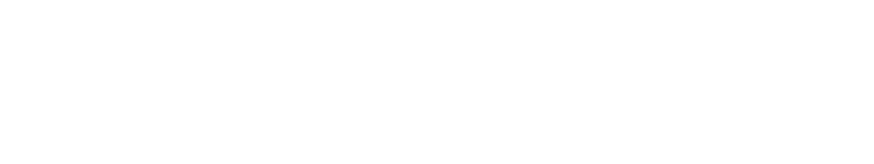 THE MARK ONE